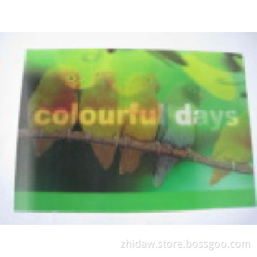 Lenticular 3D Plastic Card Printing